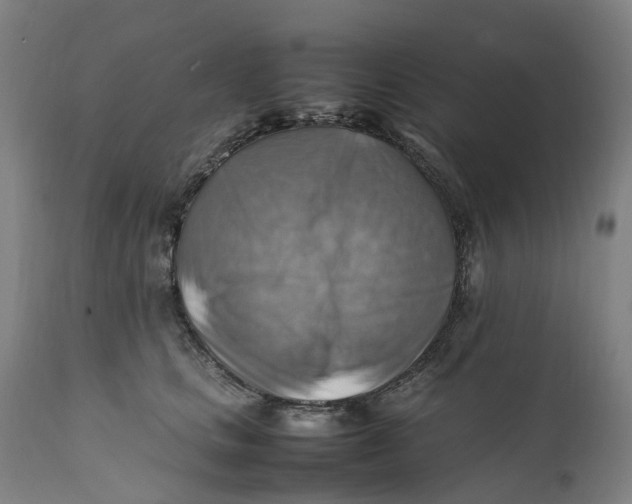 X0000111600661200908061415
