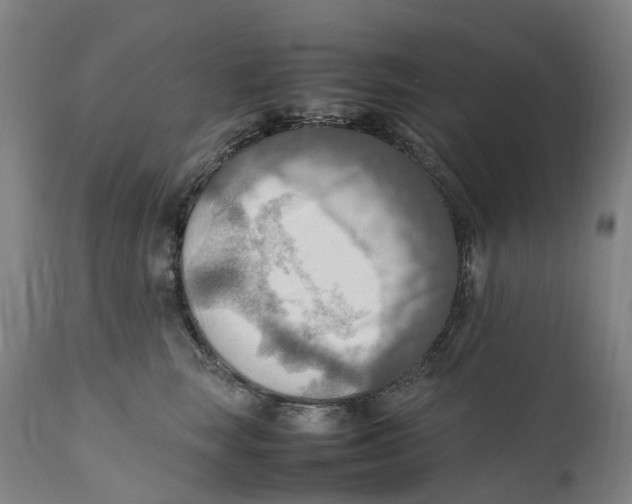 X0000111600663200908061415