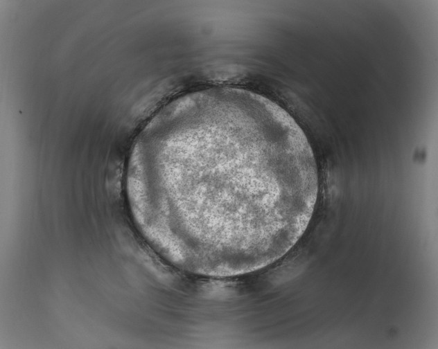 X0000111600664200908061415