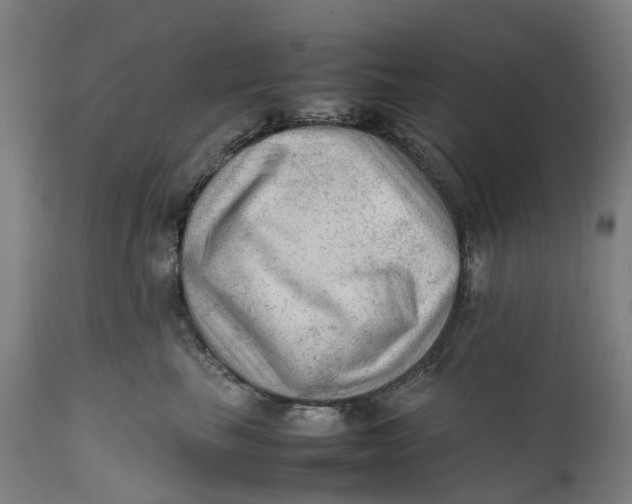X0000111600665200908061415