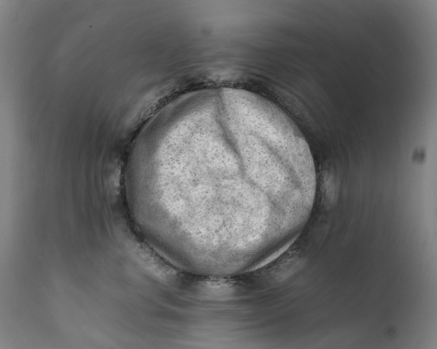 X0000111600668200908061415