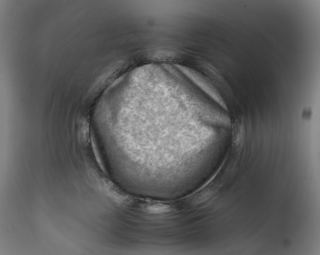 X0000111600669200908061415