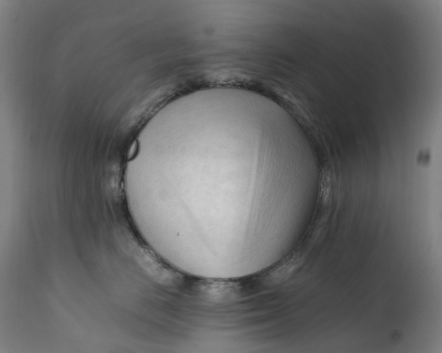 X0000111600670200908061415