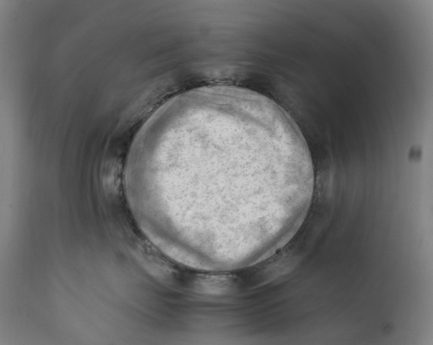 X0000111600671200908061415