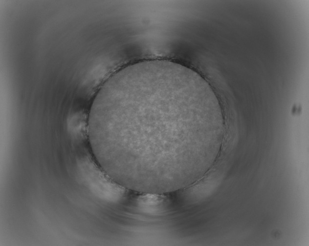 X0000111600672200908061415