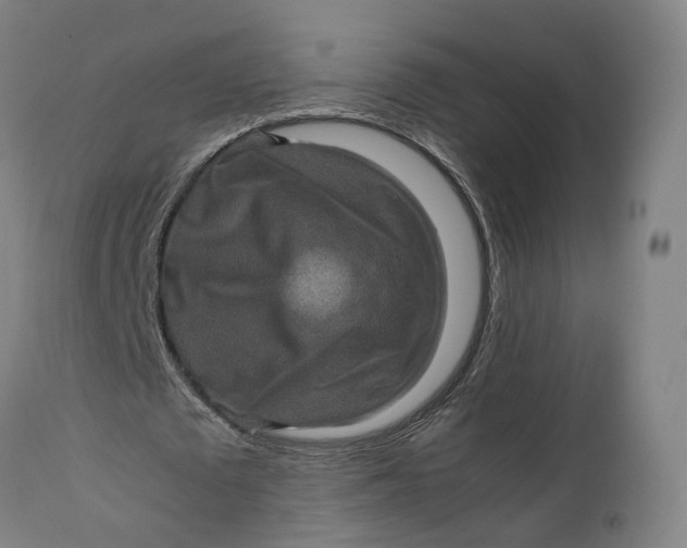 X0000111600673200908061415