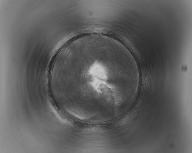 X0000111600674200908061415