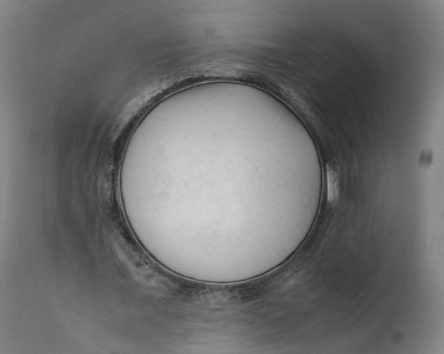 X0000111600675200908061415
