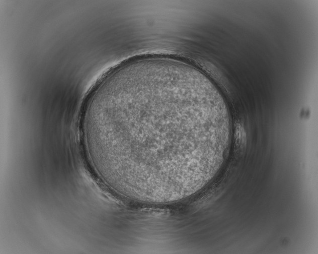 X0000111600676200908061415