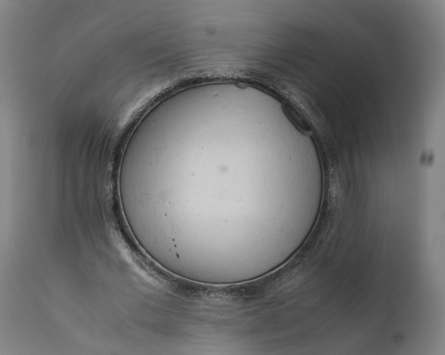 X0000111600677200908061415