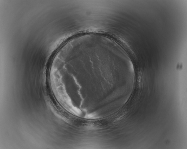 X0000111600678200908061414