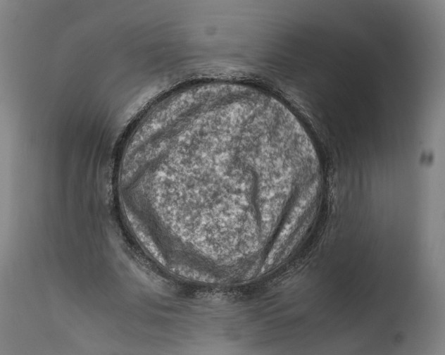 X0000111600679200908061414