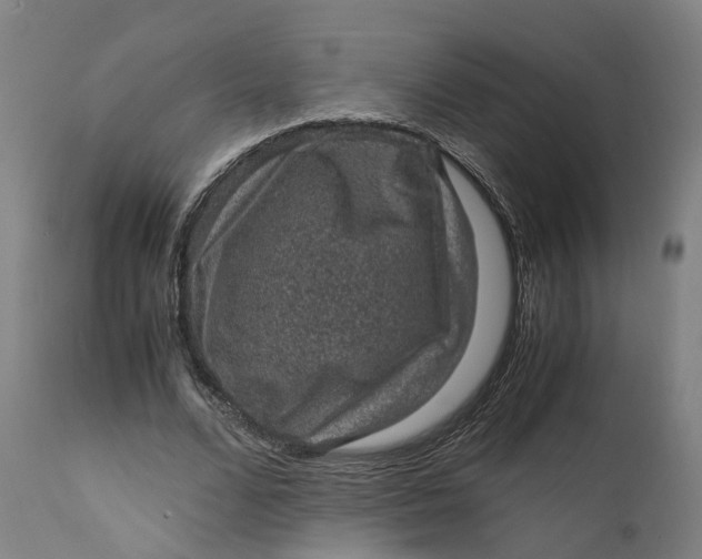 X0000111600680200908061414