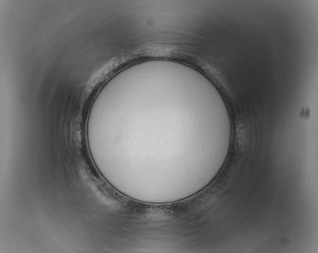 X0000111600682200908061414