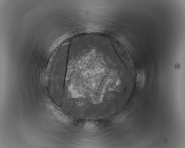 X0000111600684200908061414