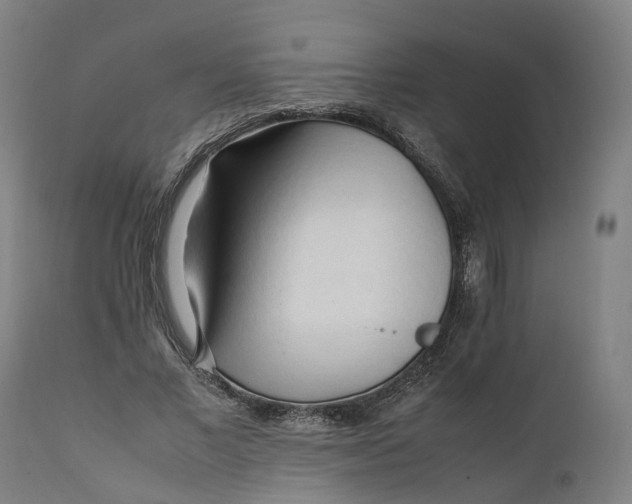 X0000111600685200908061414