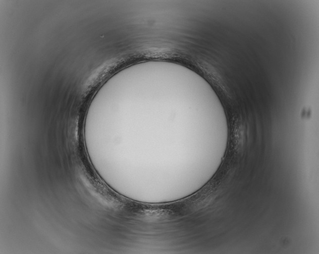X0000111600686200908061414