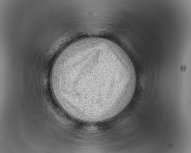 X0000111600687200908061414