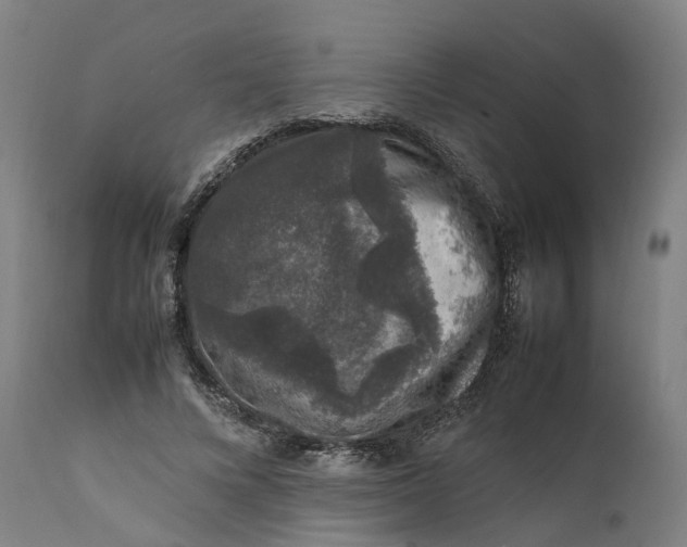 X0000111600688200908061414