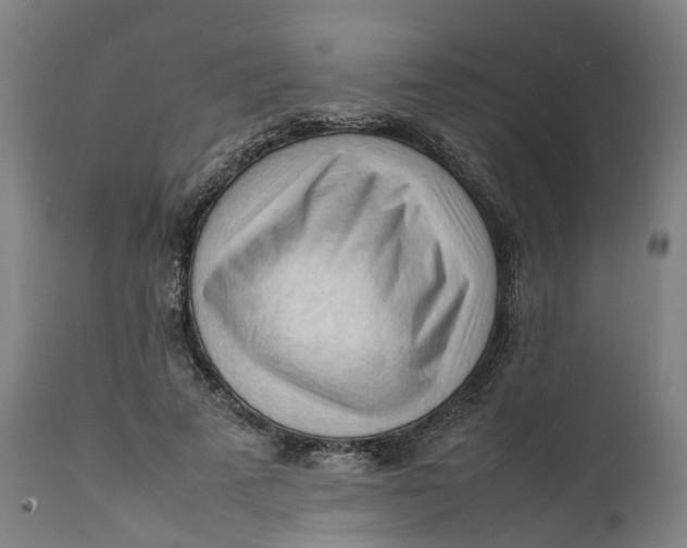 X0000111600689200908061414