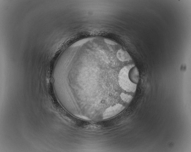 X0000111600691200908061414