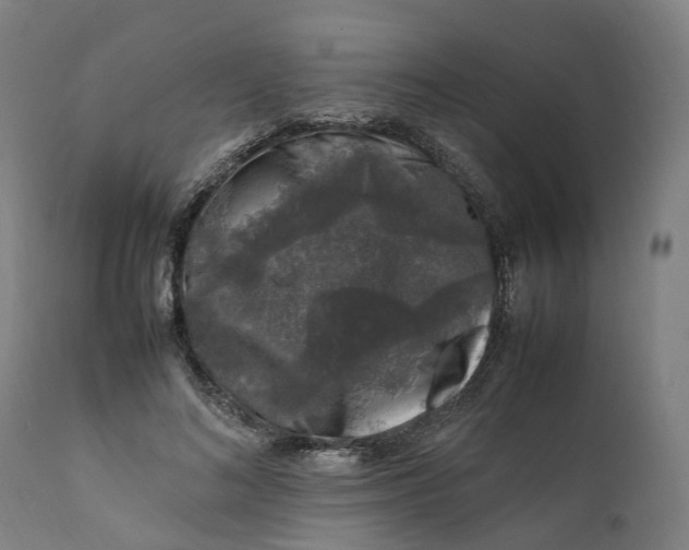 X0000111600692200908061414