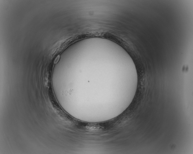 X0000111600693200908061414
