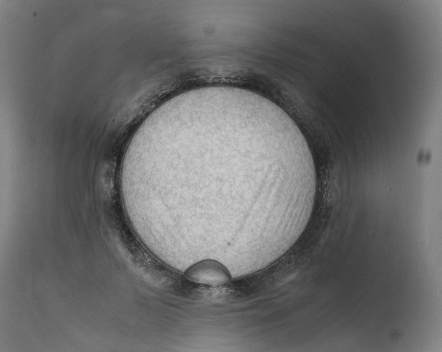 X0000111600695200908061414