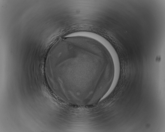 X0000111600696200908061414