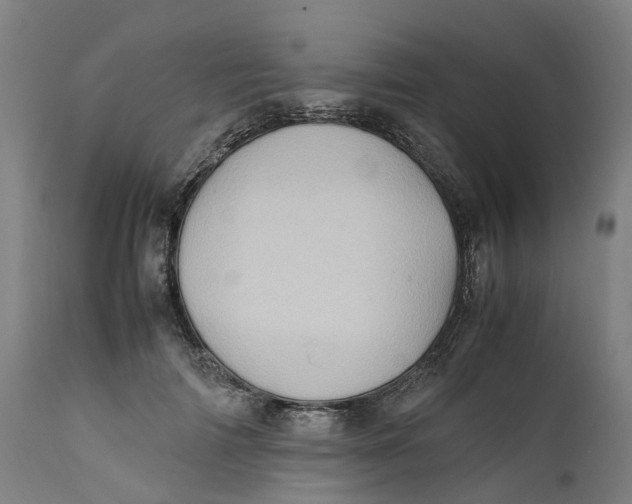 X0000111600698200908061414