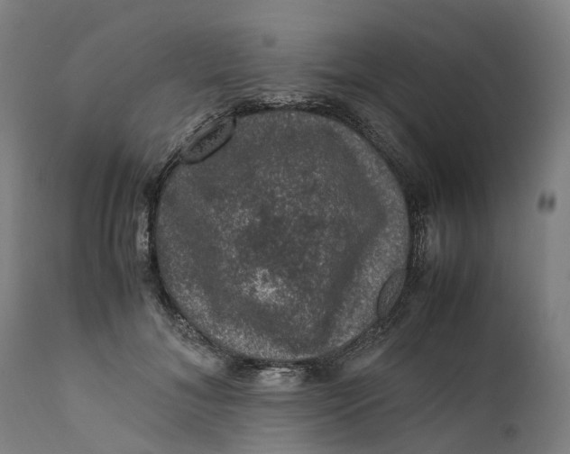 X0000111600700200908061414
