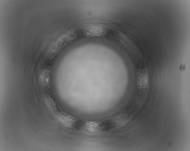 X0000111600701200908061414