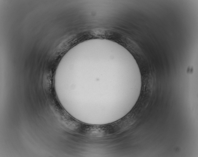 X0000111600702200908061414