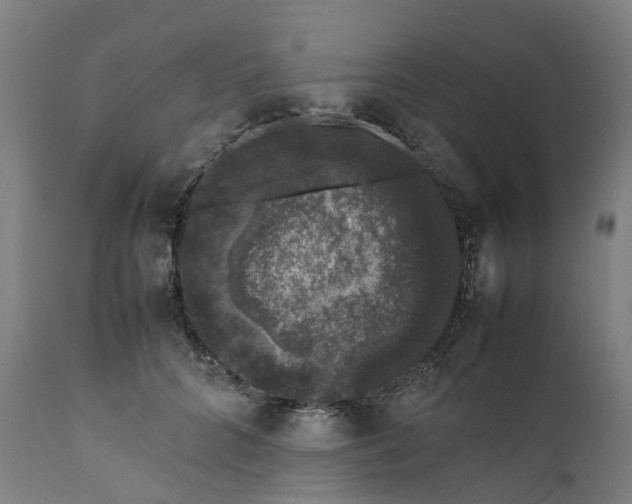 X0000111600704200908061414