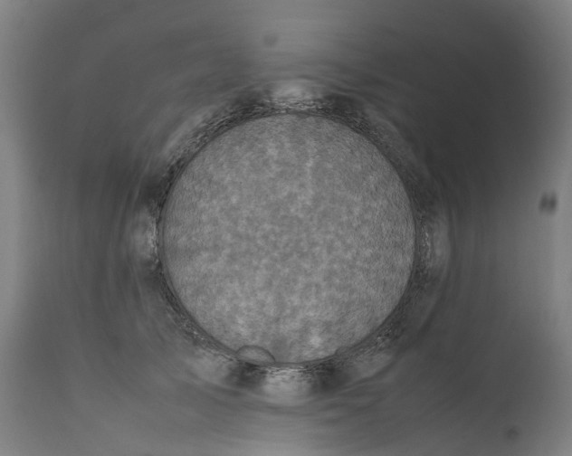 X0000111600705200908061414
