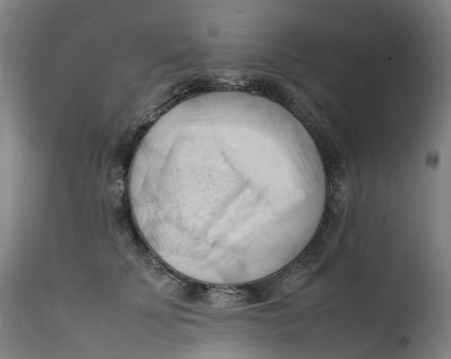 X0000111600707200908061414