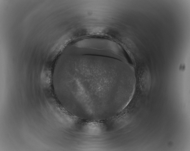 X0000111600708200908061414