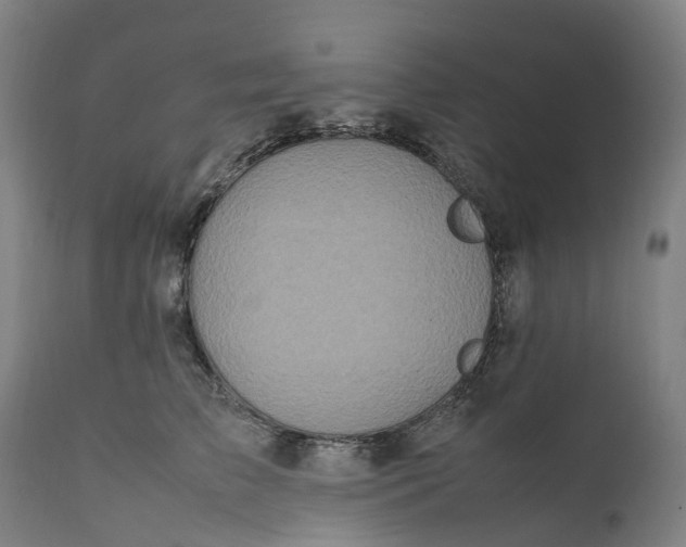X0000111600709200908061414