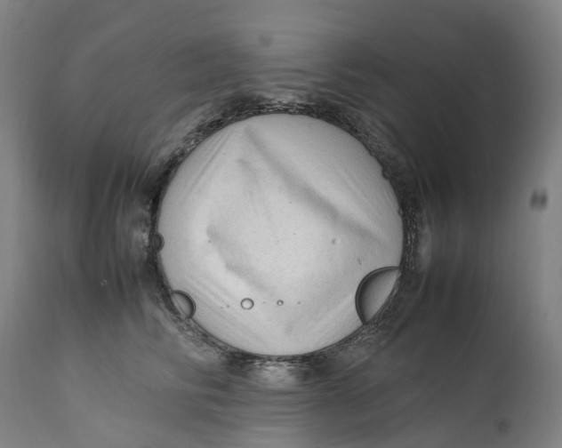 X0000111600710200908061414