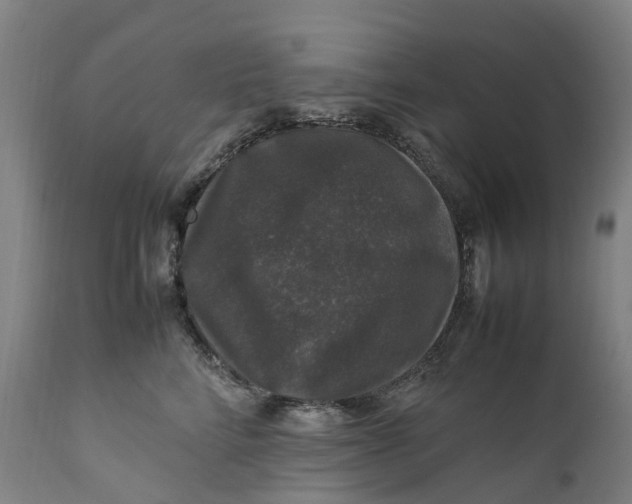 X0000111600712200908061414