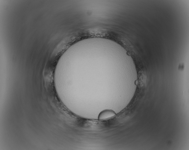 X0000111600713200908061414