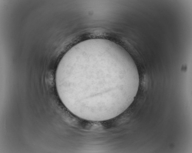 X0000111600715200908061414