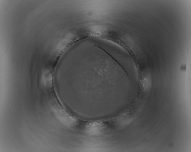 X0000111600716200908061414