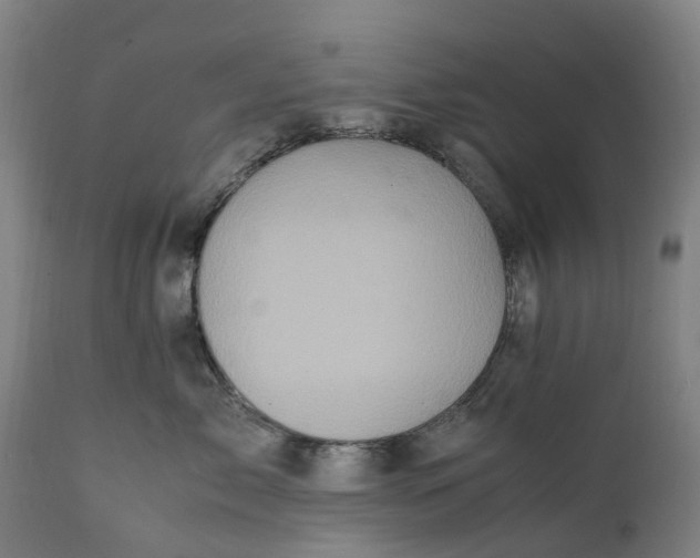 X0000111600717200908061414