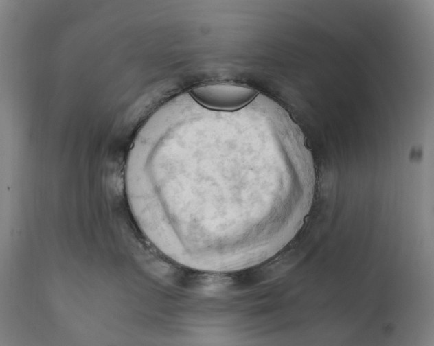 X0000111600719200908061414
