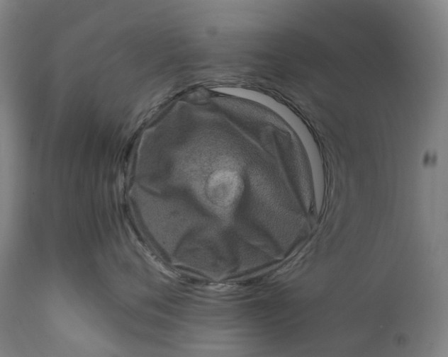 X0000111600720200908061414