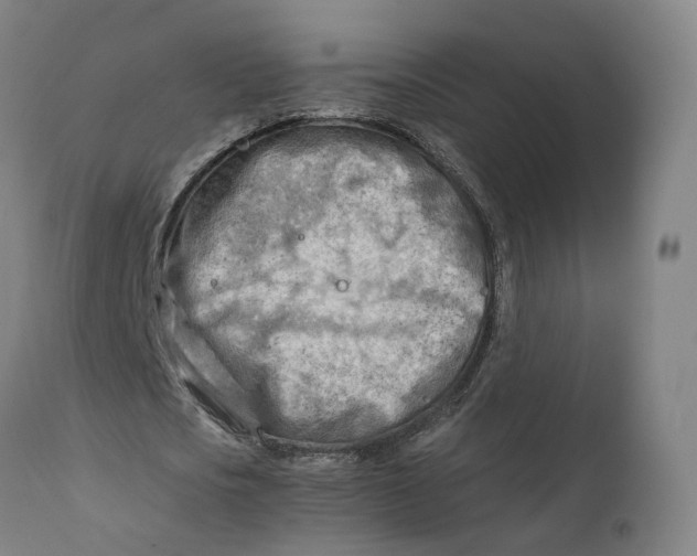 X0000111600721200908061413
