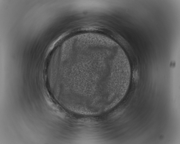X0000111600724200908061413