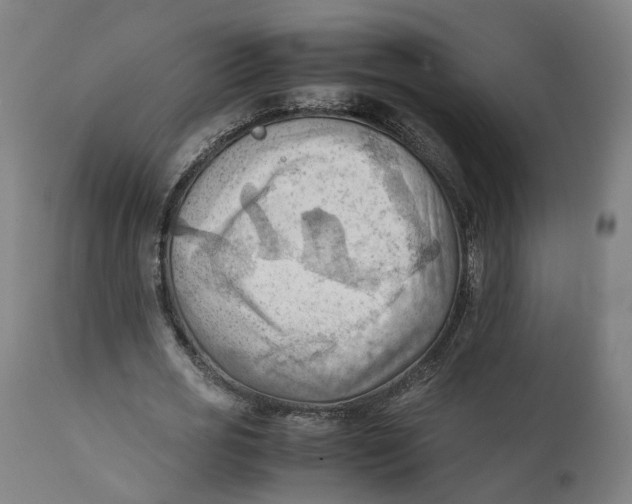 X0000111600725200908061413