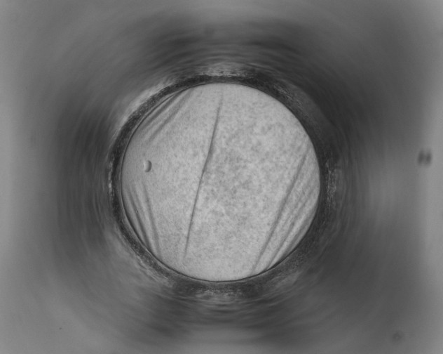 X0000111600727200908061413